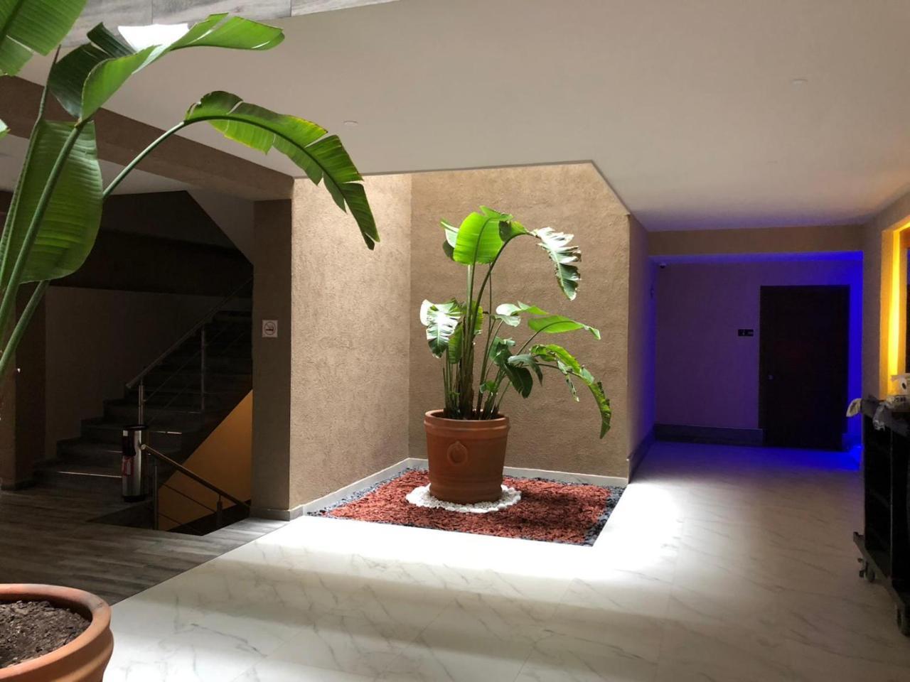 Hotel Plaza Arteaga Monterrey Esterno foto