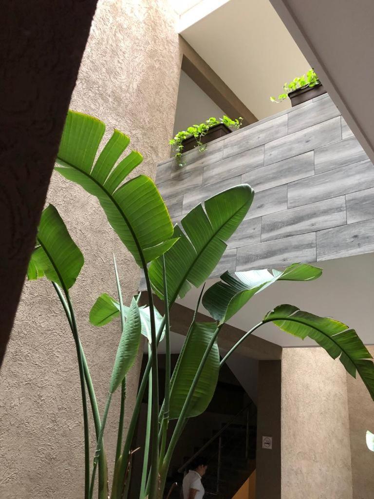 Hotel Plaza Arteaga Monterrey Esterno foto